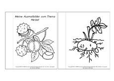 Mini-Buch-Ausmalbilder-Herbst-A-1-6.pdf
